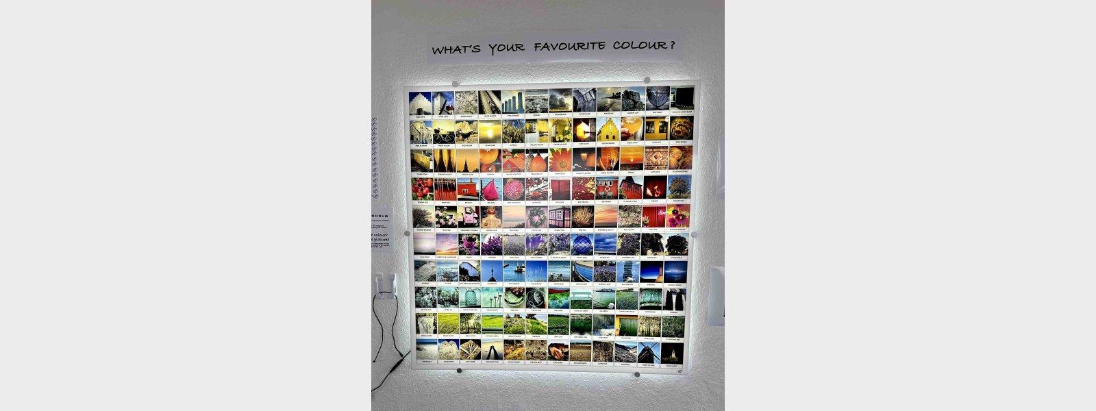 Mandy Stacey opens Art Gallery 