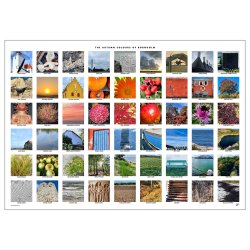 The Autumn Colours of Bornholm A1