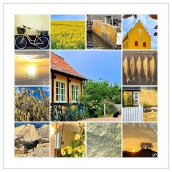 Bornholm Yellow Mini<br>25 x 25 cm