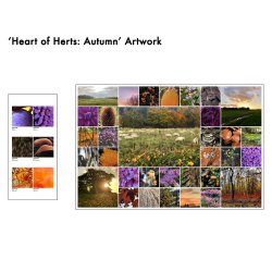 Heart of Herts