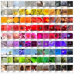 Redefining Colour<br>Backlit 100 x 100 cm