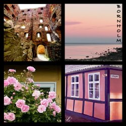 Pink Bornholm Fridge Magnet 6.5 x 6.5 cm