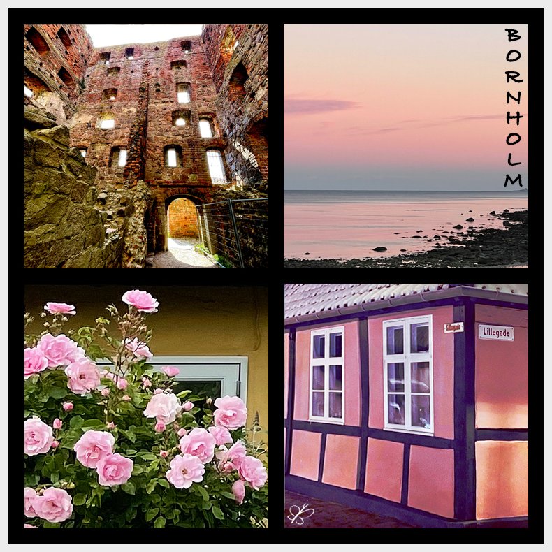 Pink Bornholm Fridge Magnet 6.5 x 6.5 cm